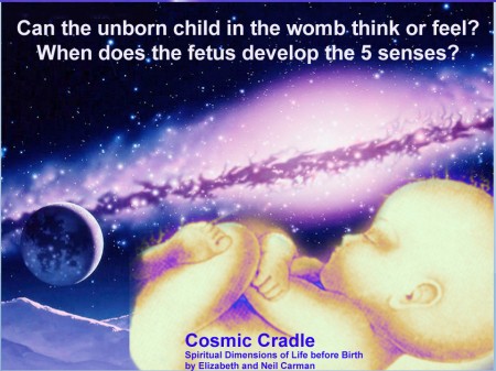 When do unborn babies feel and understand things?